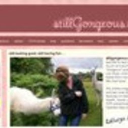 Stillgorgeouswebsite1
